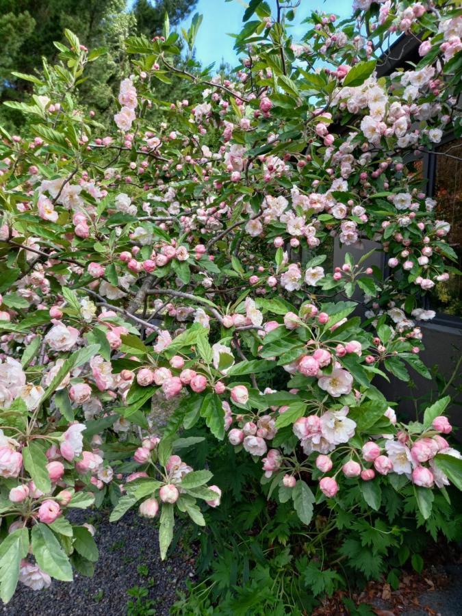 Kinloch Appleyard 아파트 외부 사진